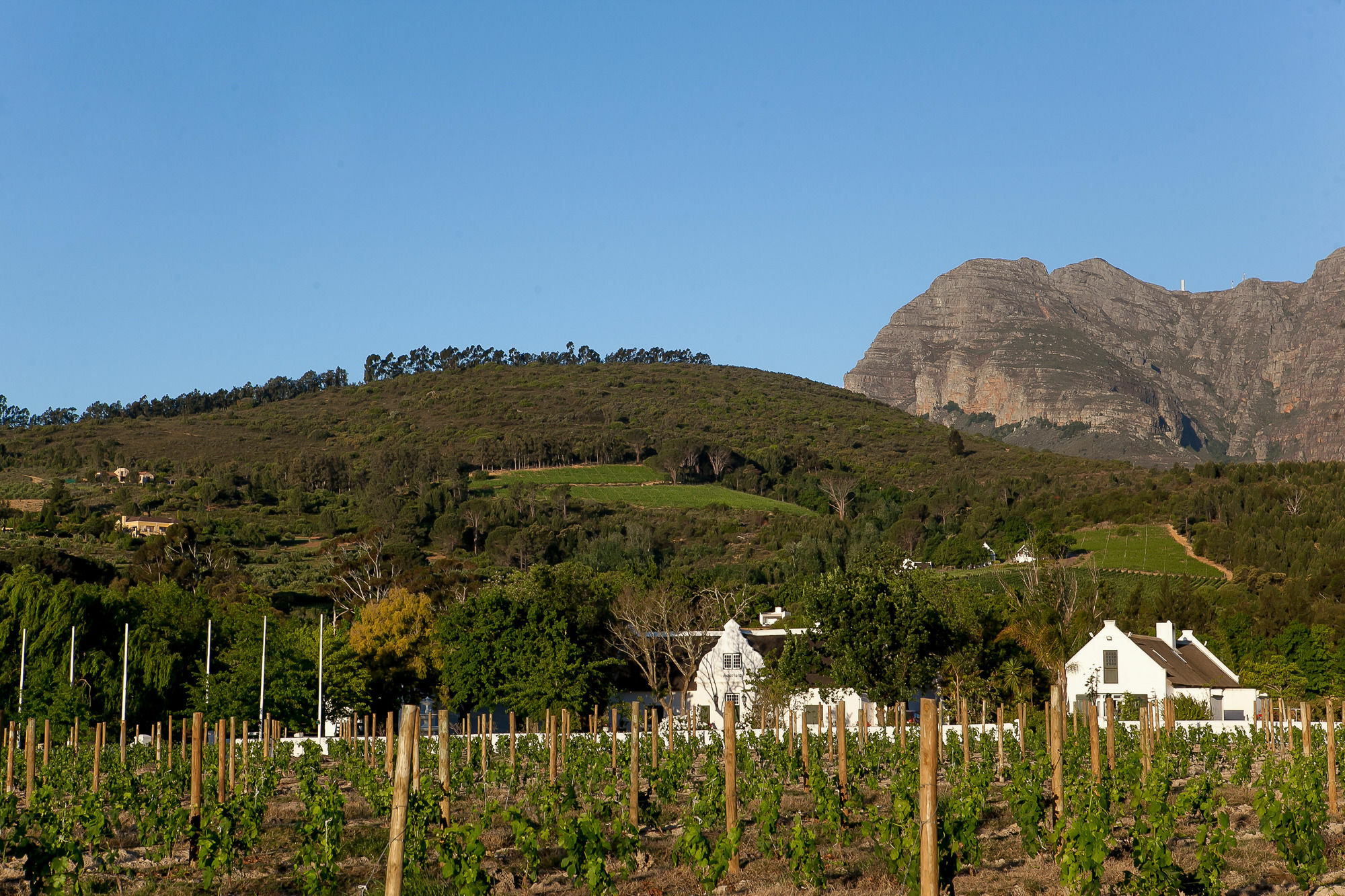 1692 De Kleijne Bos Country House Paarl Esterno foto