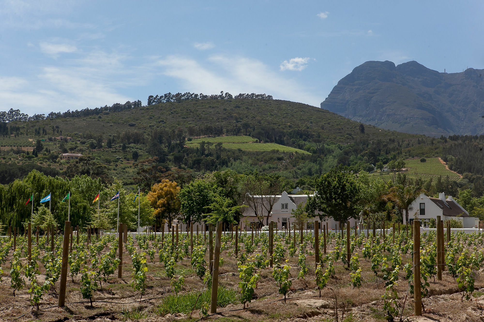 1692 De Kleijne Bos Country House Paarl Esterno foto